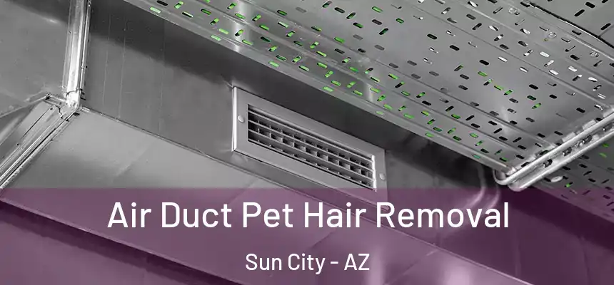  Air Duct Pet Hair Removal Sun City - AZ