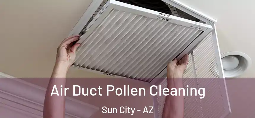 Air Duct Pollen Cleaning Sun City - AZ