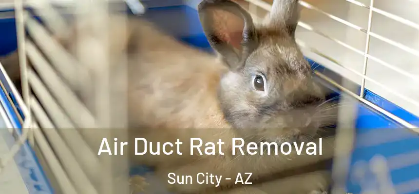Air Duct Rat Removal Sun City - AZ