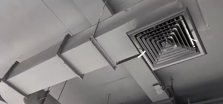 Restorative Allergy Relief Vent Cleaning – Coil, Blower & Housing Detail in Sun City