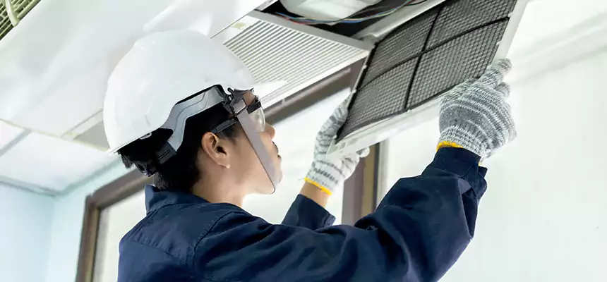 Our Mold & Mildew Removal from Air Ducts Services in Sun City, AZ