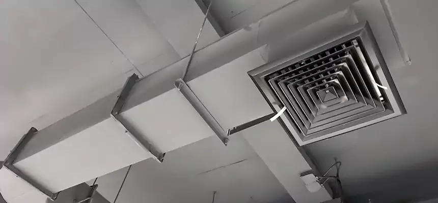 Our Pest Removal From Ducts Services in Sun City, AZ