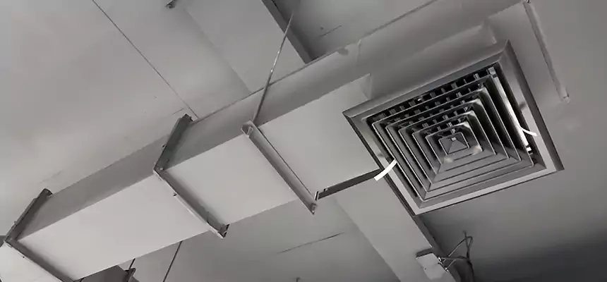 Our Rodent Droppings In Vents Services in Sun City, AZ