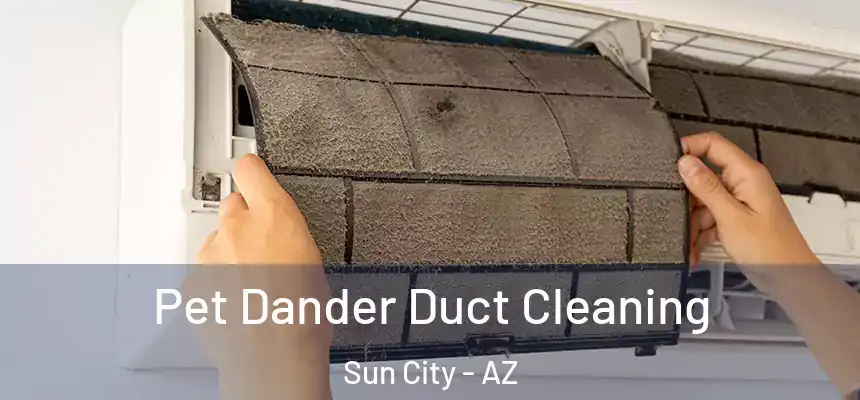 Pet Dander Duct Cleaning Sun City - AZ