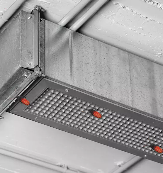 About Air Duct Cockroach Removal in Sun City, AZ