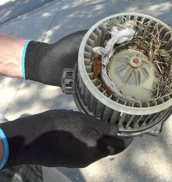 About Air Duct Mice Removal in Sun City, AZ