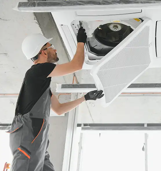 About Air Duct Rodent Removal in Sun City, AZ