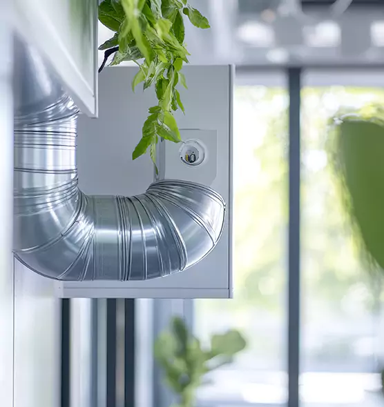 Professional Eco-Safe Dryer Vent Cleaning in Sun City, AZ