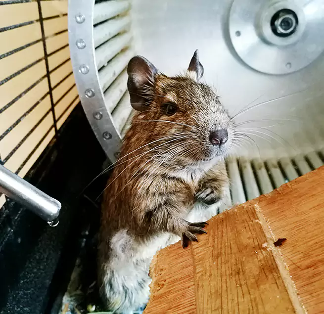 Why Homeowners & Businesses Trust Us Sun City, AZ