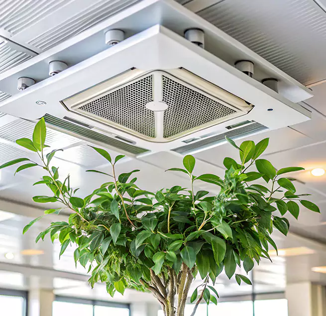 Why Homeowners & Businesses Trust Us in Sun City, AZ?